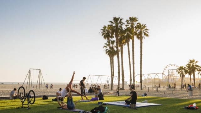 People doing yoga on a grassy area near palm trees with swings and a ferris wheel in the background at sunset.